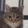 caoh profil fotoğrafı