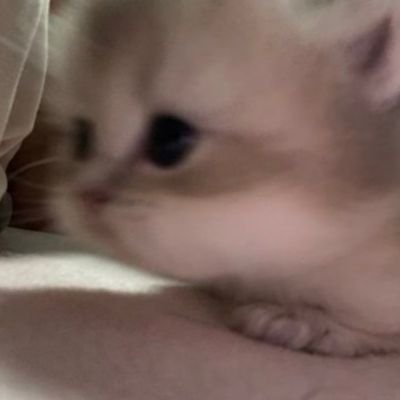 정's profile picture