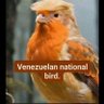 Sergio López profil fotoğrafı