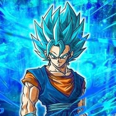 VegitoUser's profile picture