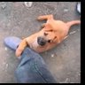 @smiley15 profil fotoğrafı