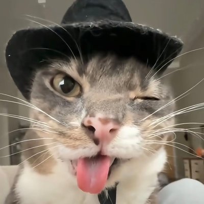 ji_weng71115's profile picture