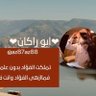 💛ابوراكان💛 的头像