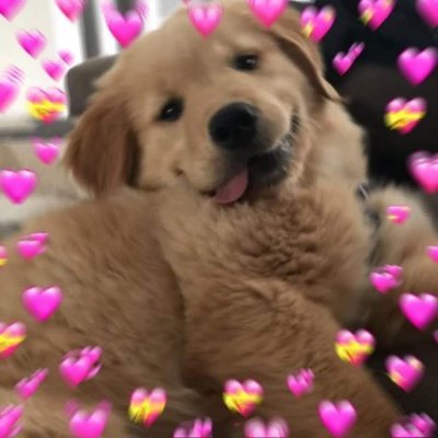 น้ำแข็ง's profile picture