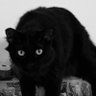 meet profil fotoğrafı