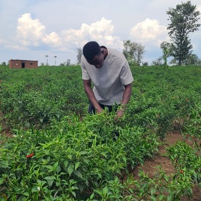 mukunziagri's profile picture