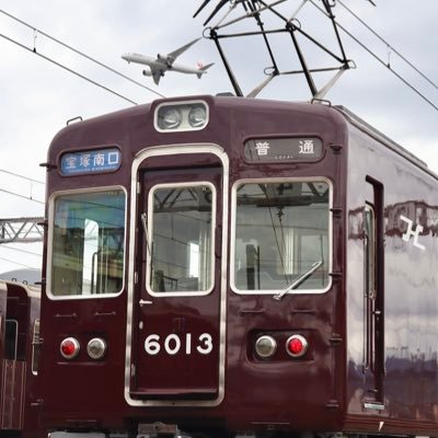 syakutoukai's profile picture