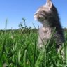 Фото профиля CatisLife