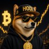幣圈老狗's profile picture