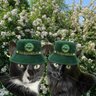 Profilbild von Tracey, Sox and Sooty