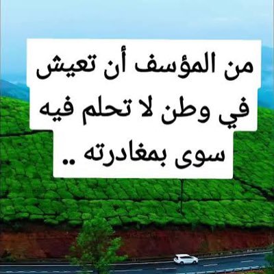 Saif Bin Helal's profile picture