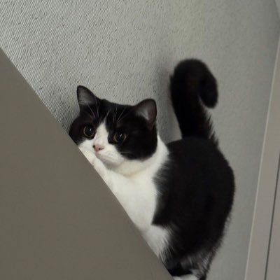 ginger.'s profile picture