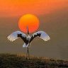 Maan!!! profil fotoğrafı