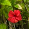 真白 profil fotoğrafı