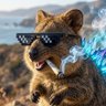 Фото профиля Quokkzilla™