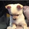 María's profile picture