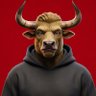 Фото профиля BULL RUNNER