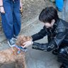 No.29 BTS 的头像