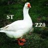 Фото профиля st Oca ZzO