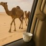 ُمنيــرة 🩷🩷🩷 的头像