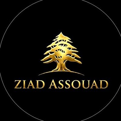 ziad assouad's profile picture
