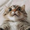 ปากเปียก ปากแฉะ's profile picture
