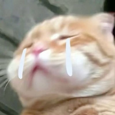 fluffymuay_jh's profile picture