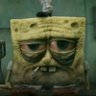 barnacle head 的头像
