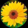 Atman's profile picture