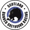 Harris Hound 🌈ScotlandBannedGreyhoundRacing 🙌🏻 的头像
