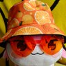 Profilbild von Cerb3rus