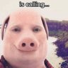 john pork's profile picture