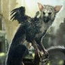 Profilbild von Last_Guardian