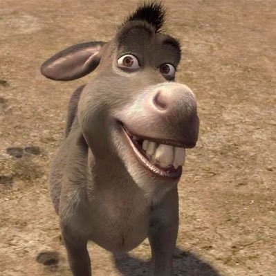 Donkey's profile picture
