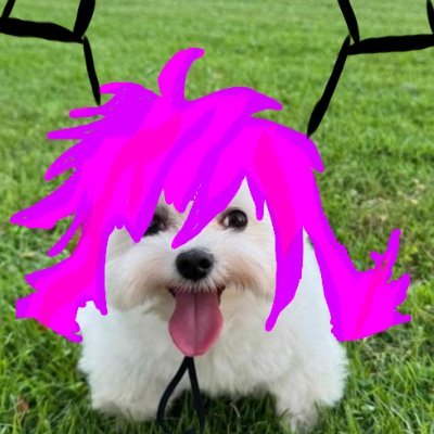 boomerdoomer5's profile picture
