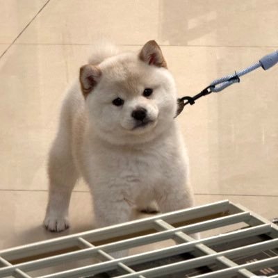 dd82989736's profile picture