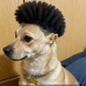 FLIPO.'s profile picture