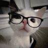 Eliane profil fotoğrafı