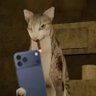 Profilbild von KorZix