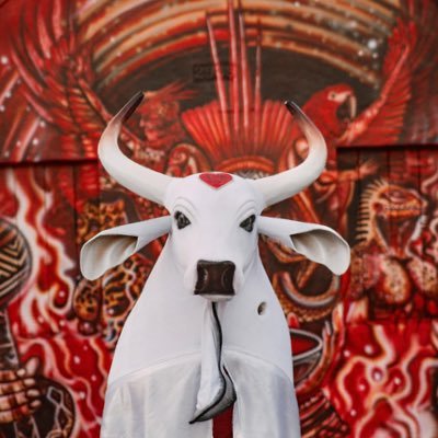 Boi Garantido's profile picture