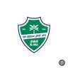 نخبتين في الرأس توجع🏆🏆💚's profile picture