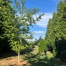 Yuto profil fotoğrafı