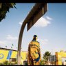 عـازفف | بطل #روشن 💛 . profil fotoğrafı