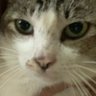 belum ada jalan's profile picture