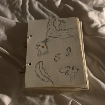 _xiidr's profile picture