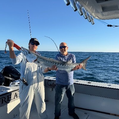 Tim Sharp 🍊 🍊 🇺🇸's profile picture