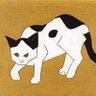 nekocom ✨🌈 profil fotoğrafı
