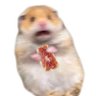 jamon y hamster's profile picture