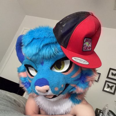 Teo 🦋's profile picture
