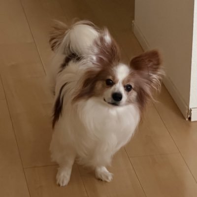 バディの父ちゃん's profile picture